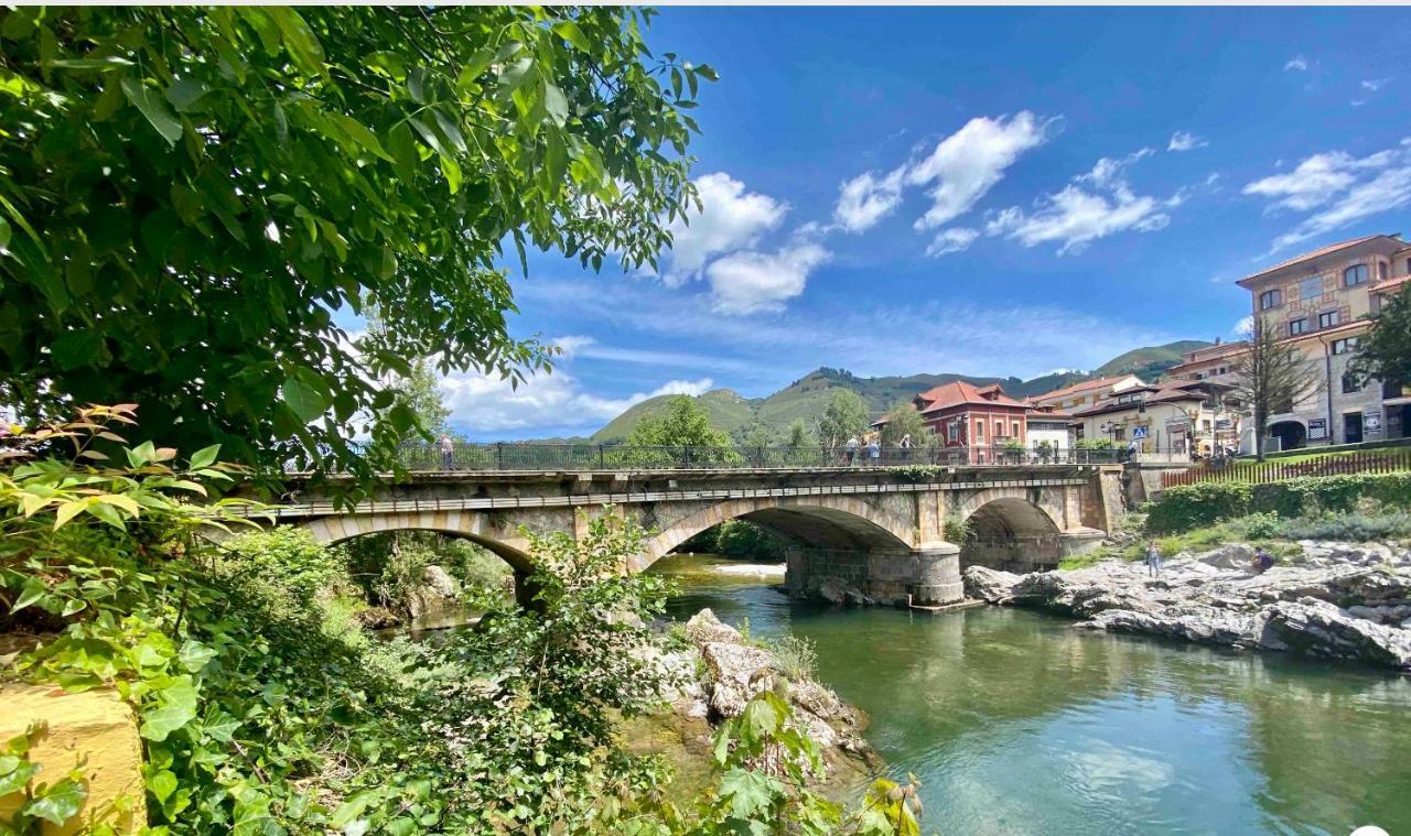 Apartamento Centro Cangas De Onis公寓 外观 照片